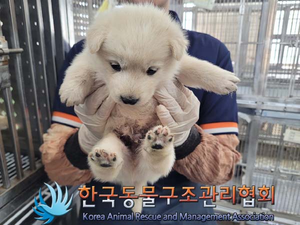한국동물구조관리협회_441406202400865